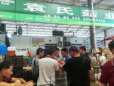 石棉县供销社第三次组织赴成都农产品中心批发市场考察