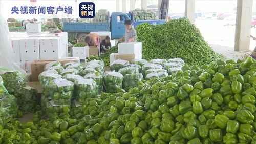 河北多地启动应对机制 保障首都 菜篮子