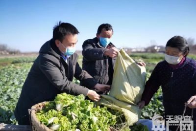 光山县鑫磊农业专业合作社